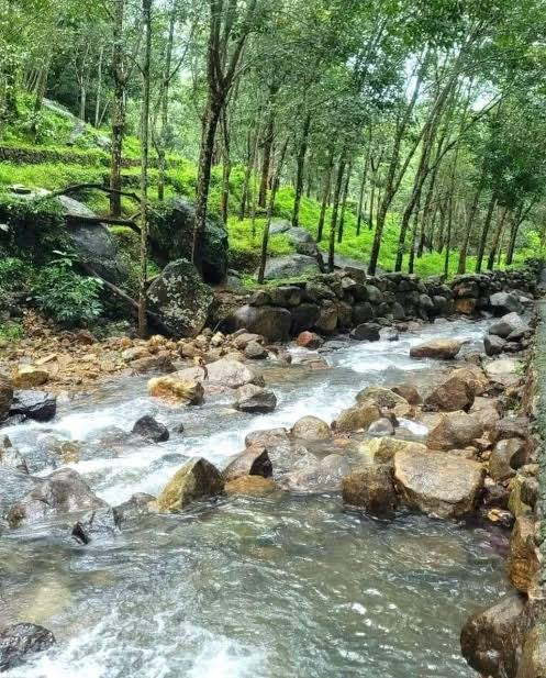 Kalikesam Forest & River
